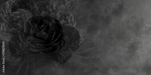 Fototapeta Naklejka Na Ścianę i Meble -  Textured black rose and black cement background, wallpaper,name card, copy space