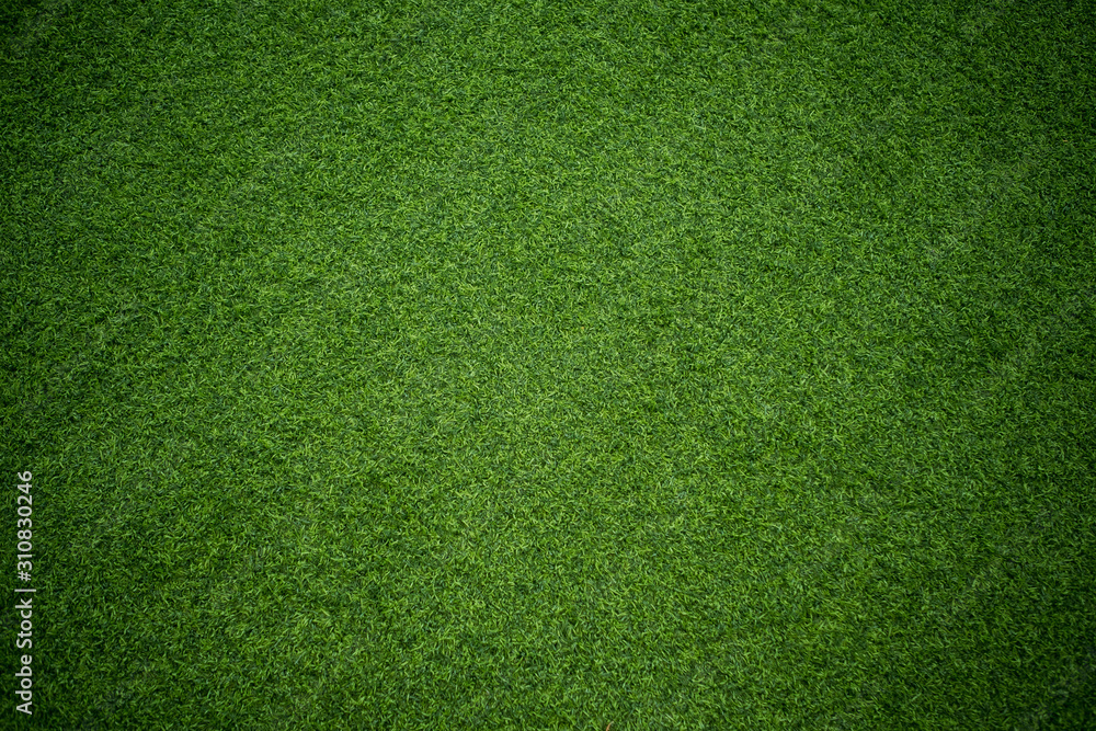 Fototapeta zielona trawa tło, boisko do piłki nożnej