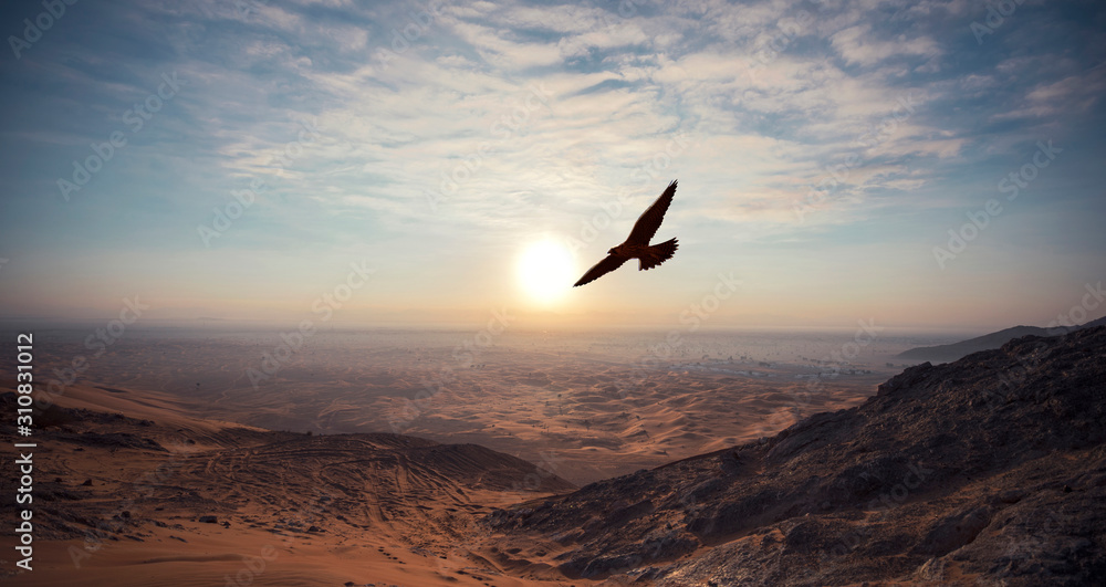 AL FAYA Mountain - DUBAI - UAE transportation concept AL FAYA Mountain - DUBAI - UAE transportation concept