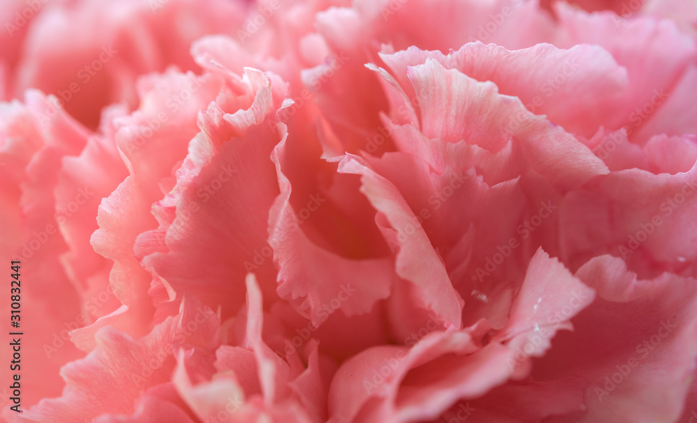 Abstract pink flower background Abstract pink flower background