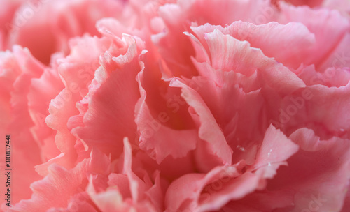 Abstract pink flower background