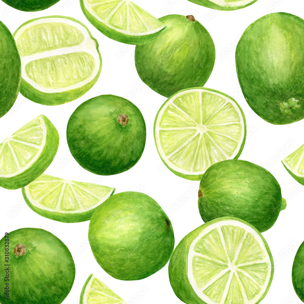 Watercolor lime seamless pattern. Hand drawn botanical illustration of citrus slices and fruits isolated on white background