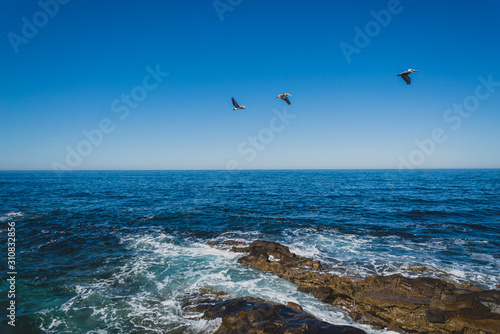 pelicans flying over the ocean
