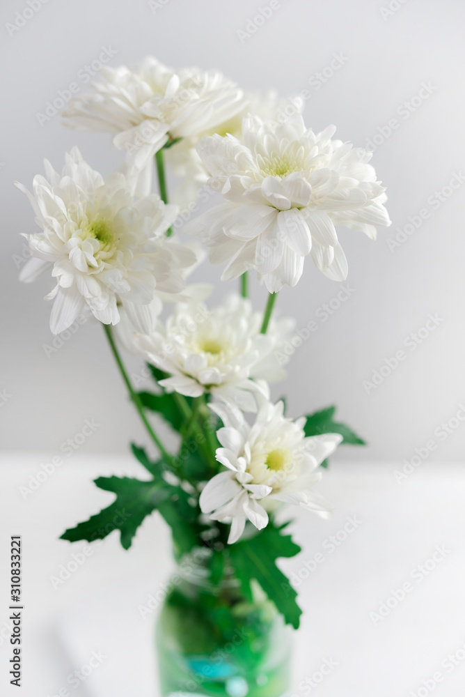 white flower on white table white flower on white table