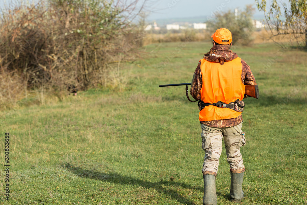 A man with a gun in his hands and an orange vest on a pheasant hunt in a wooded area in cloudy weather. Hunter with dogs in search of game.