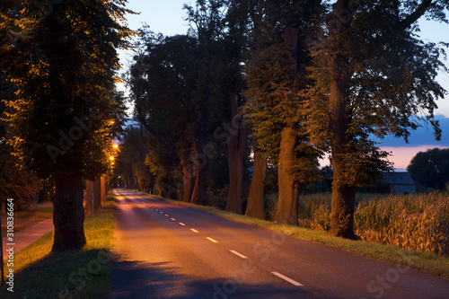 Road to Kowalewo Pomorskie. Poland