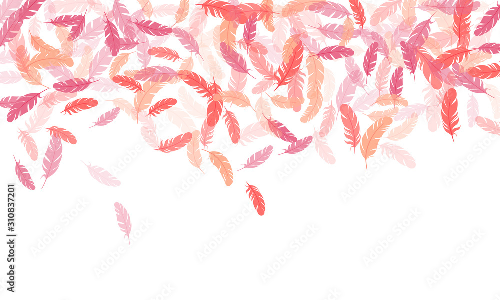 Flying feather elements airy vector design. Flying feather elements airy vector design.