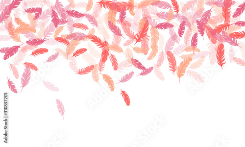 Flying feather elements airy vector design.