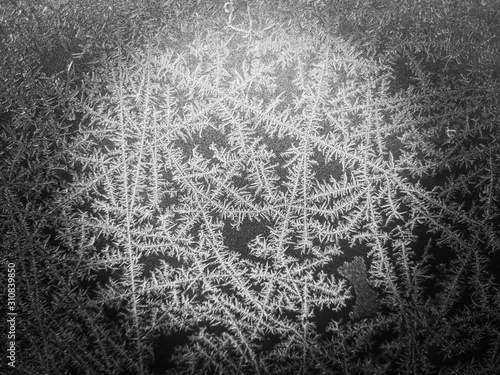 Winter Frost - Pinhole
