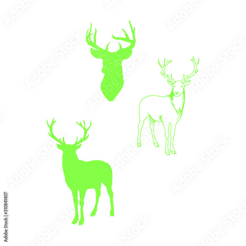 Collection of silhouettes of wild animals - the deer family
