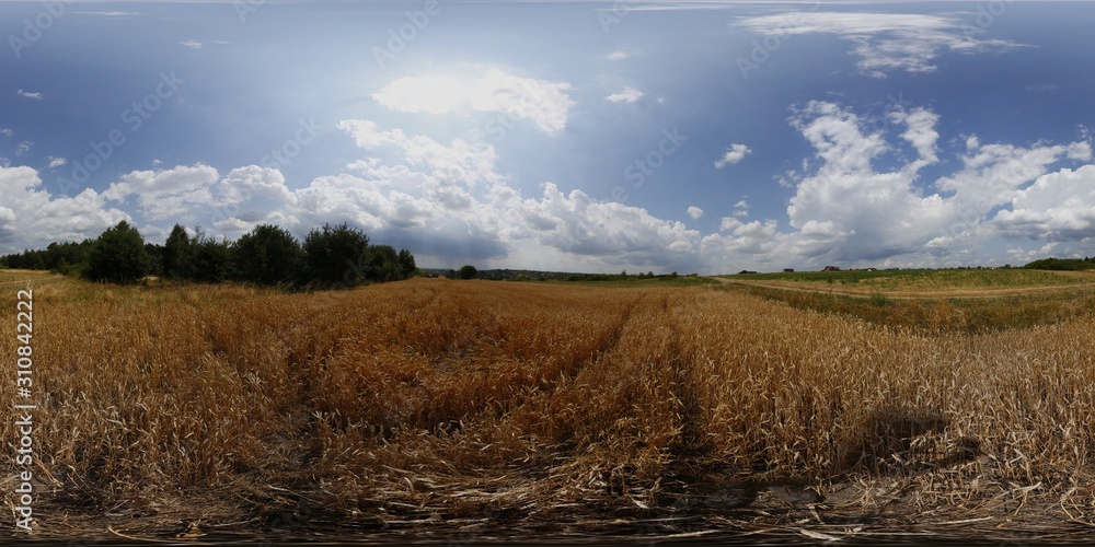 Fototapeta premium Summer fileds in Poland HDRI Panorama