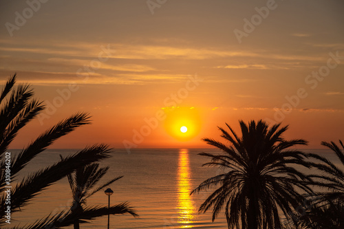 Beautiful sunrise or sunset peaceful nature background. Golden sky, sea water, orange sun and black silhouettes of green plam trees. Horizontal color photography.