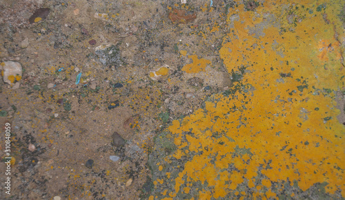 texture of old concrete covered with yellow fungus lichen photo