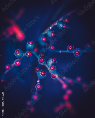 Fotografi red dot glowing plant