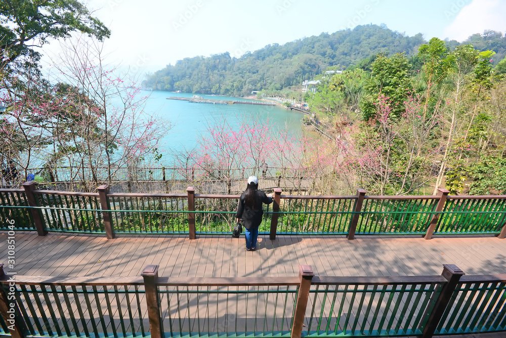 Girl stand alone on the wooden walk way seeing Sun Moon lake view and cherry blossom tree around, Sun Moon lake, Taiwan