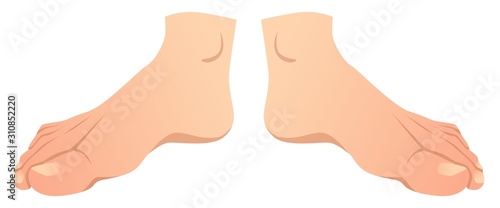 realistic human foot