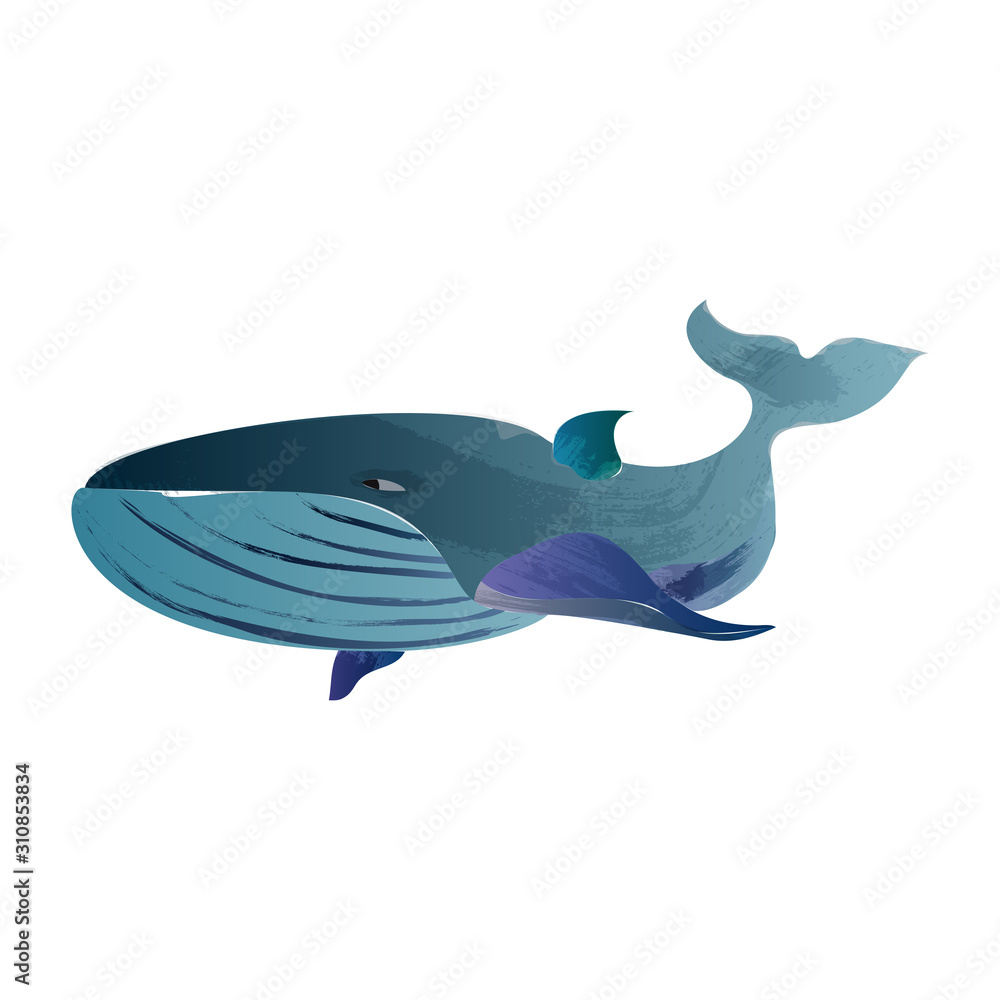 blue whale - watercolor hand drawing vector paint Stock Vector | Adobe ...