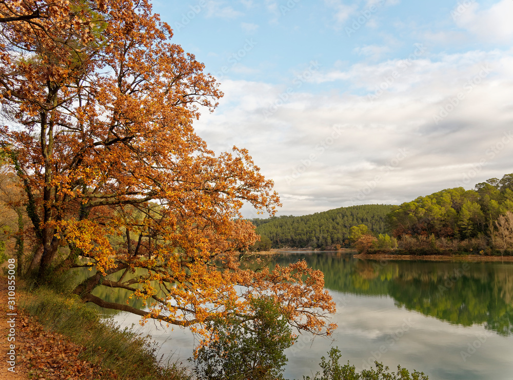 Paysage de la Provence verte. Atmosphère de charme et couleurs d'automne au bord du lac Sainte Suzanne ou lac de Carcès dans le Var