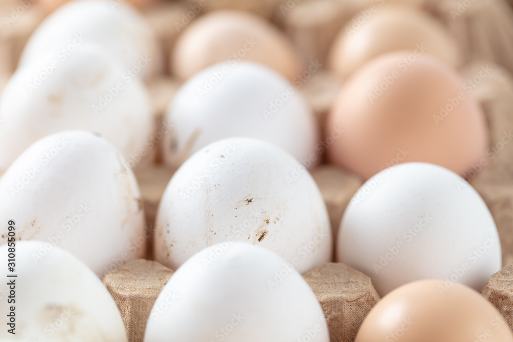 Fresh chicken eggs in industrial mud as a background Fresh chicken eggs in industrial mud as a background