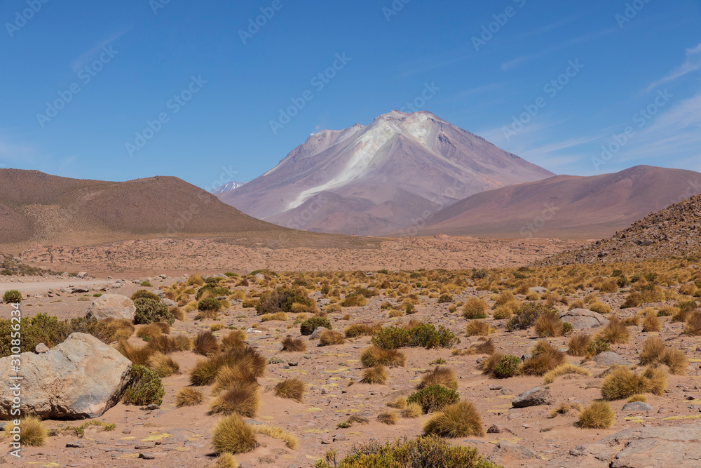 Volcanoes on the altiplano in Bolivia.