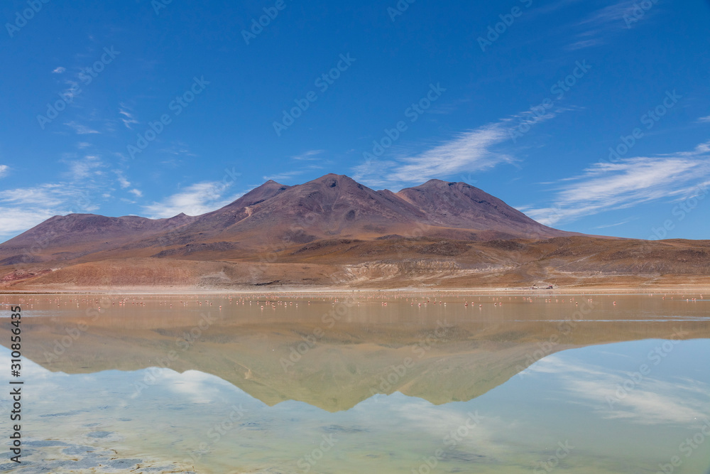 Laguna with flamingos on the altiplano in bolivia