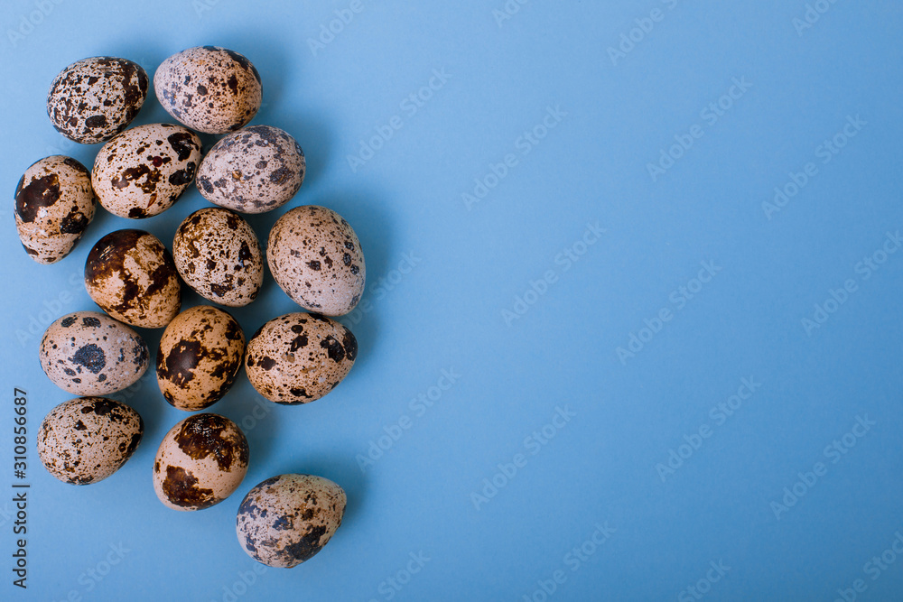 Fototapeta premium Quail eggs are on blue background. Easter card greeting. Flat lay. Copy space.