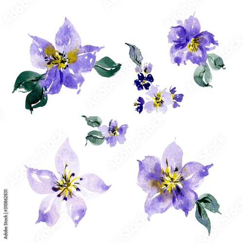 Watercolor set with isolated purple flowers and bouquets. Template for greetings, invites, wedding, web design, home and textile floral decor, wedding clipart, floral clipart.