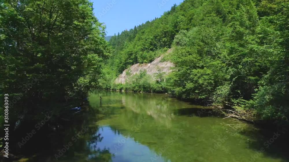 Clear river flows between the coasts with dense green trees. Aerial drone footage Clear river flows between the coasts with dense green trees. Aerial drone footage