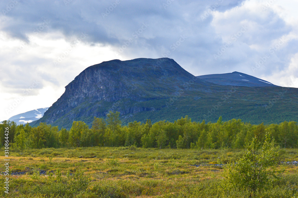 Fototapeta premium Nature and mountains on the way into the Kebnekaise valley, Nikkaluokta