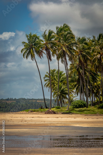 Beaches of Brazil - Maragogi Beach, Alagoas State