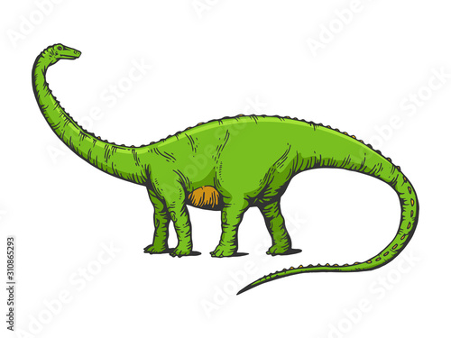 Diplodocus dinosaur prehistoric extinct animal sketch engraving vector illustration. T-shirt apparel print design. Scratch board imitation. Black and white hand drawn image.