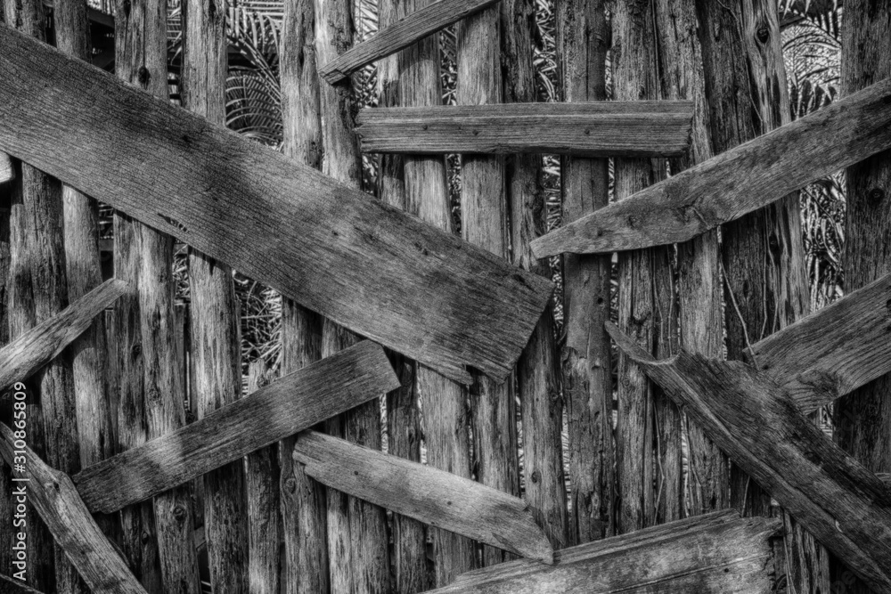 woods is surrounded by the old wall woods is surrounded by the old wall