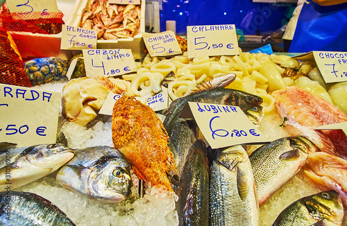 The fish on ice in Abastos market, Jerez, Spain photo