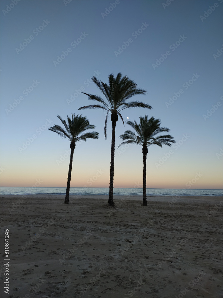 Fototapeta premium Cullera