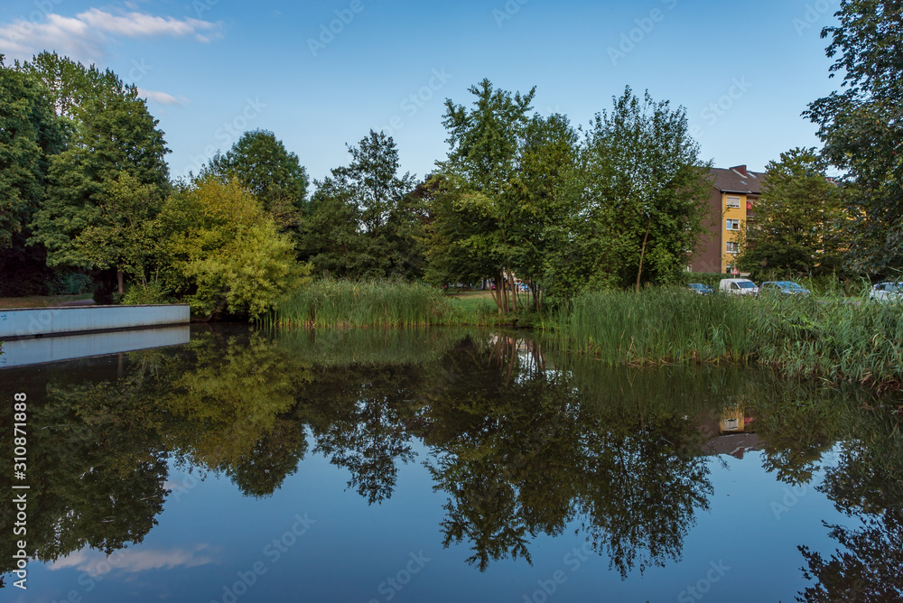 Obraz premium Spiegelung von Bäumen und Wasserpflanzen im einem Weiher