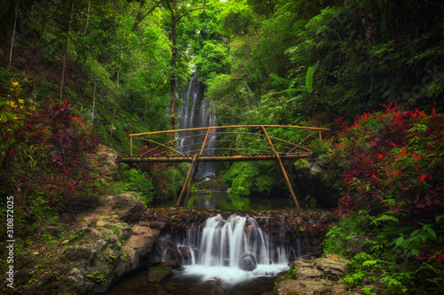 Fototapeta Naklejka Na Ścianę i Meble -  View of Labuhan Kebo Waterfall located in Munduk, Bali