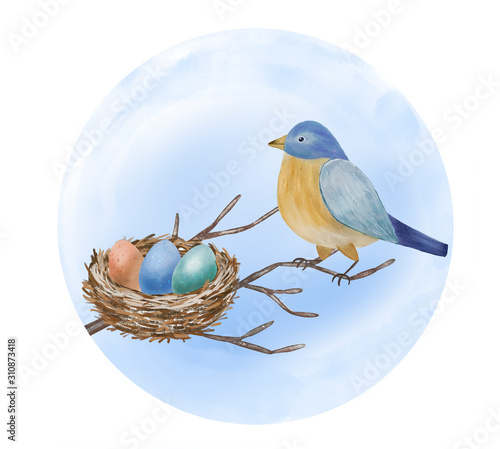 Watercolor hand drawn of cute blue and yellow colors bird and nest with eggs. Spring and Easter illustration isolated on white background © Olya Artnova