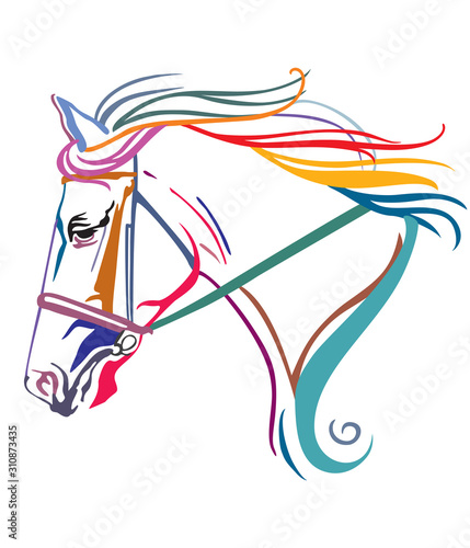 Colorful decorative horse 10