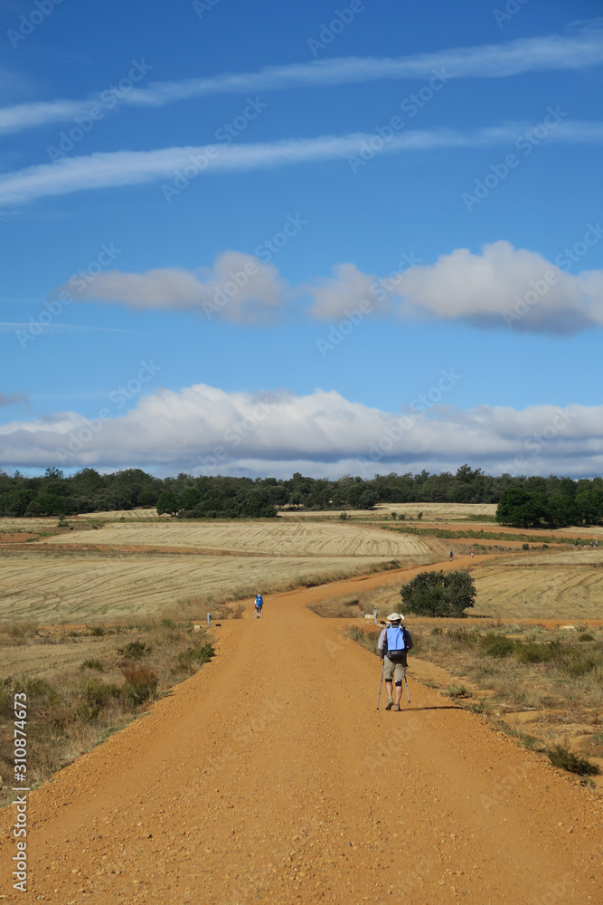 Obraz premium 산티아고순례길 풍경