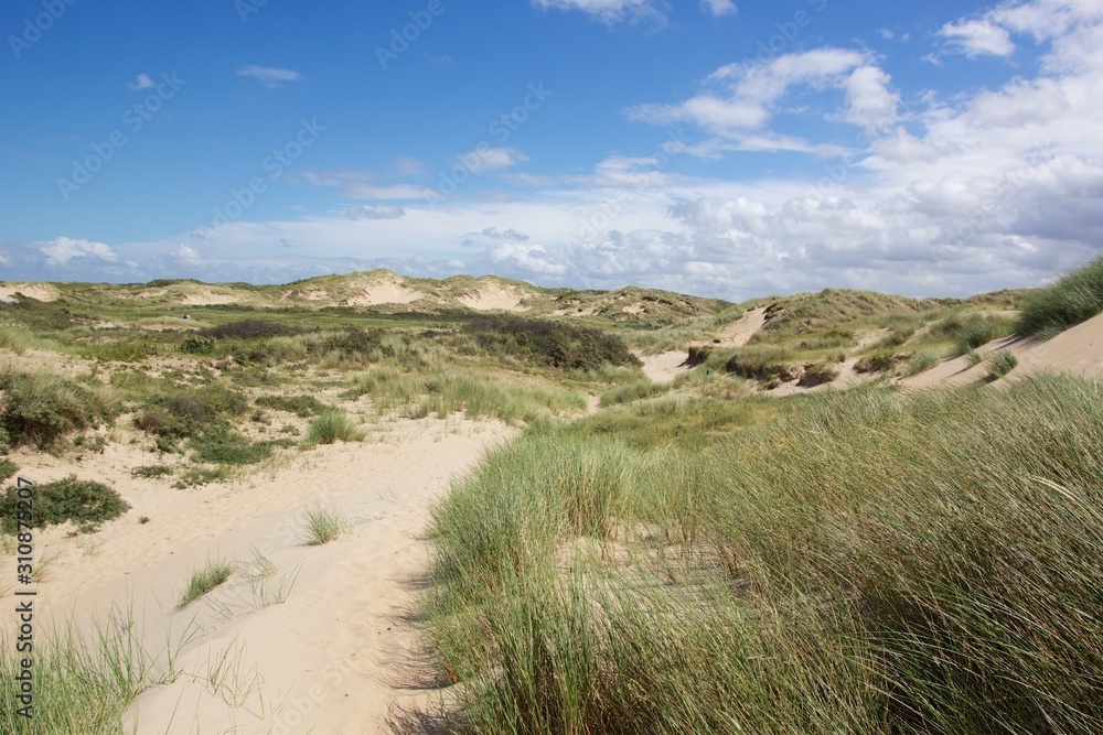 Dutch dunes on a sunny day