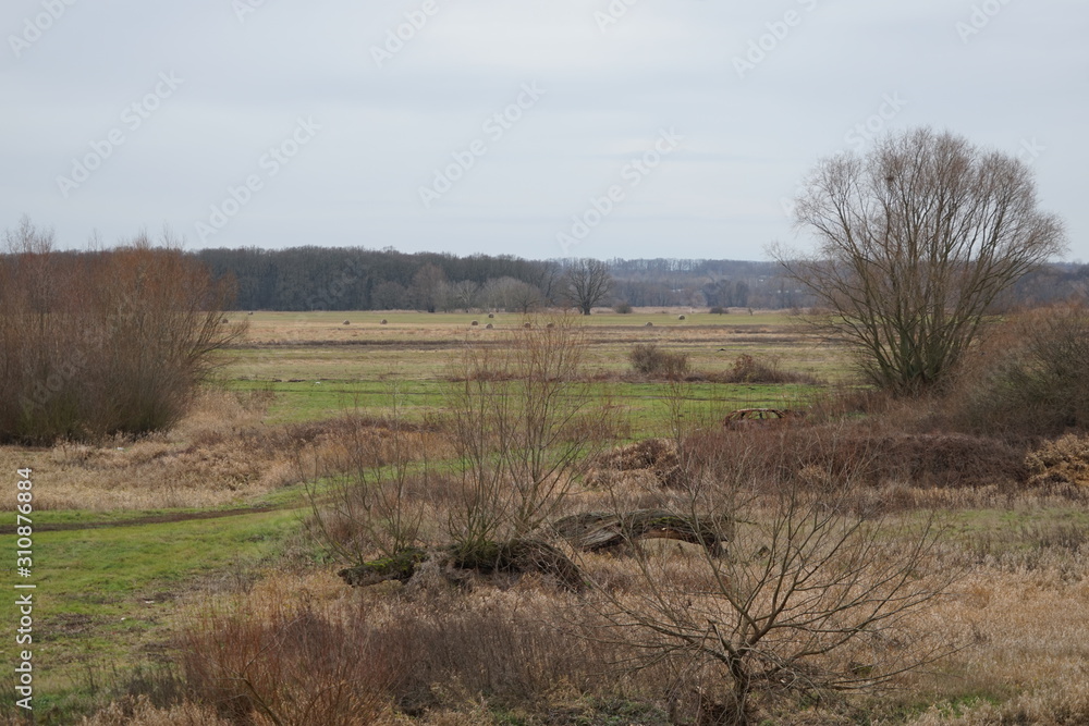 Auenlandschaft der Oder bei Slubice mit Autowrack Auenlandschaft der Oder bei Slubice mit Autowrack