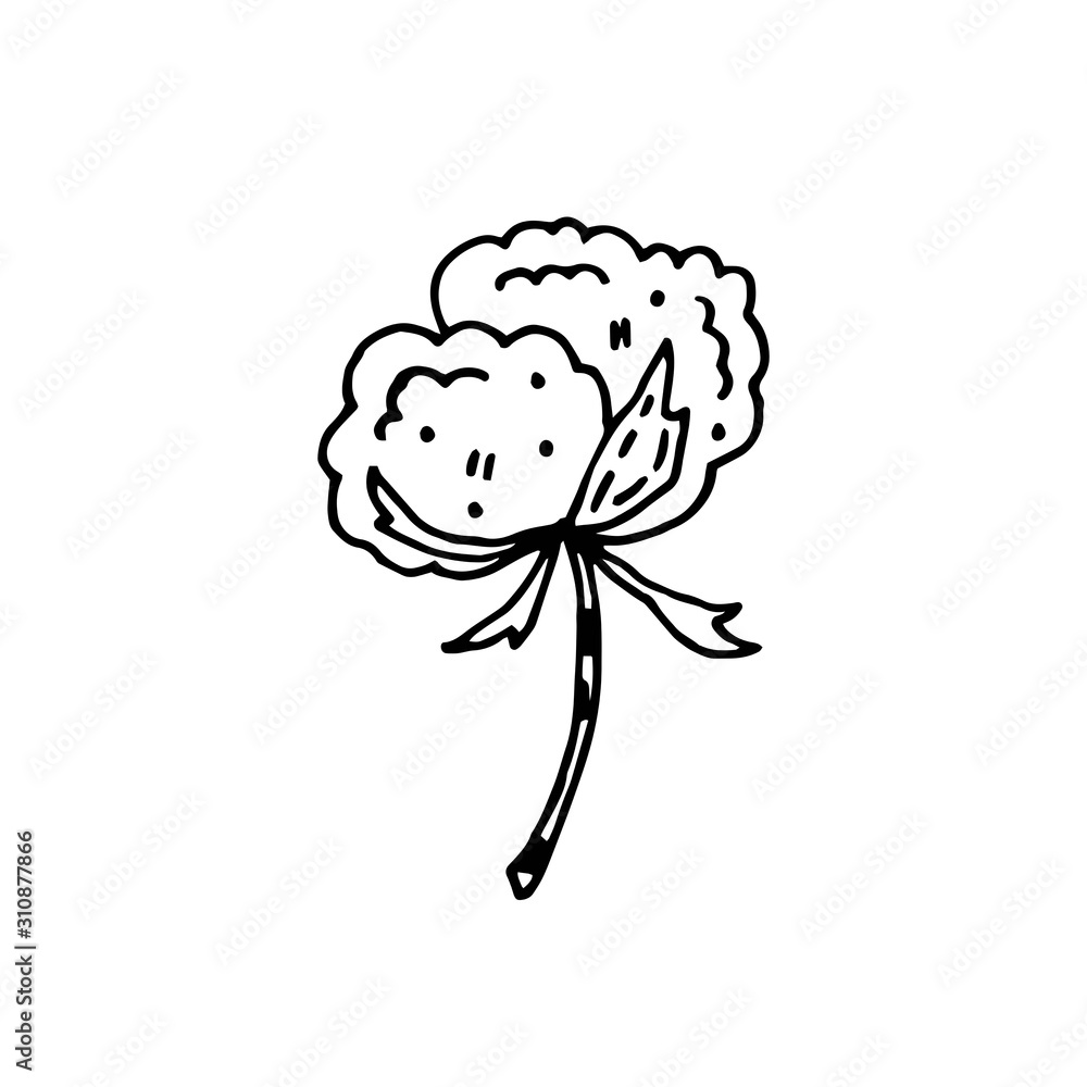 Cotton flower doodle vector illustration. Herbs. Organic ingredients. Eco friendly, vegan. Sticker, icon. Cotton flower doodle vector illustration. Herbs. Organic ingredients. Eco friendly, vegan. Sticker, icon.