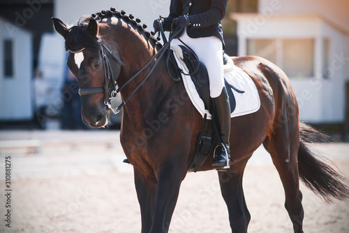 A Bay horse with a rider in the saddle performs at a dressage competition in front of the judges ' booth on a Sunny day.
