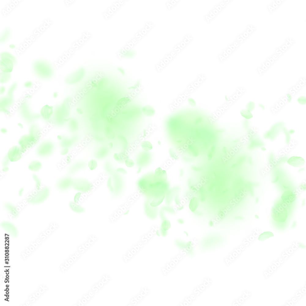 Fototapeta premium Green flower petals falling down. Likable romantic