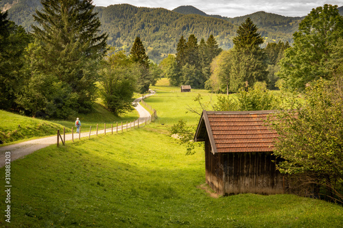 Fototapeta Naklejka Na Ścianę i Meble -  path through the alpine landscape with a house and a walker