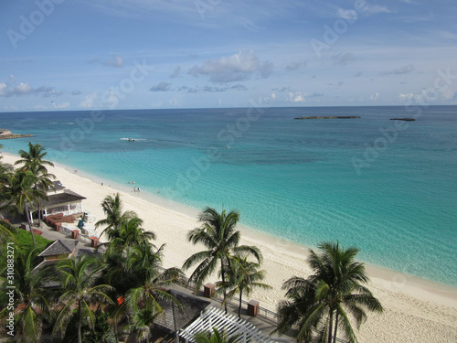 view to the ocean with palms