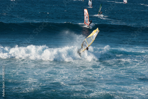 Windsurfers on Maui waves