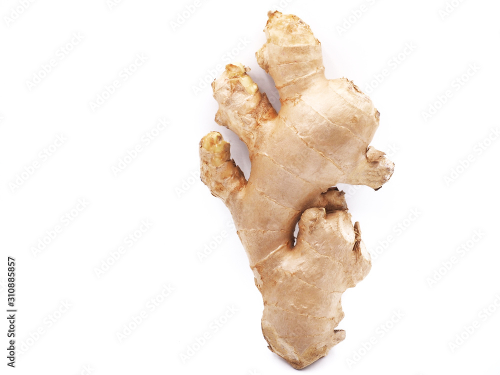 Ginger is placed on a white background Ginger is a herb that is beneficial to the body in many way because it is rich in vitamin and mineral that are very important to our body Ginger is placed on a white background Ginger is a herb that is beneficial to the body in many way because it is rich in vitamin and mineral that are very important to our body