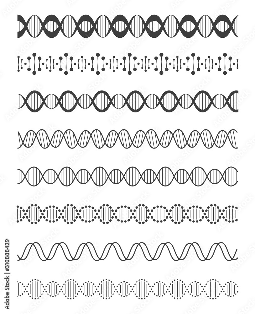 DNA images - line design style vector elements