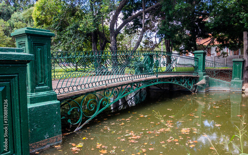 Bridge